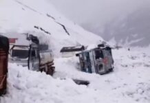 ‘सफेद खतरा’ फिर बरपा: जोजिला में एवलांच, 8 फीट बर्फ में दबीं गाड़ियां—जिंदगी के लिए जंग जारी