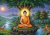 बुद्ध पूर्णिमा पर अद्भुत संयोग, इन 5 कामों से घर आएगी खुशहाली