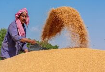 MP: बड़े किसानों के स्लॉट भी जल्द होंगे अलॉट,केंद्र से गेहूं खरीदी कोटा बढ़ने से राहत