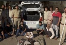 नीलगाय शिकार रैकेट का पर्दाफाश; रिटायर्ड रेंजर बना सरगना, निगरानी तंत्र पर उठे सवाल