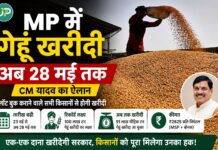 MP में गेहूं खरीदी की तारीख बढ़ी, अब 28 मई तक किसानों को मिलेगा मौका