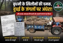 बुधनी के खिलौनों की चमक में गुम होते दुधई के जंगल