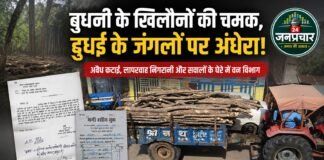 बुधनी के खिलौनों की चमक में गुम होते दुधई के जंगल